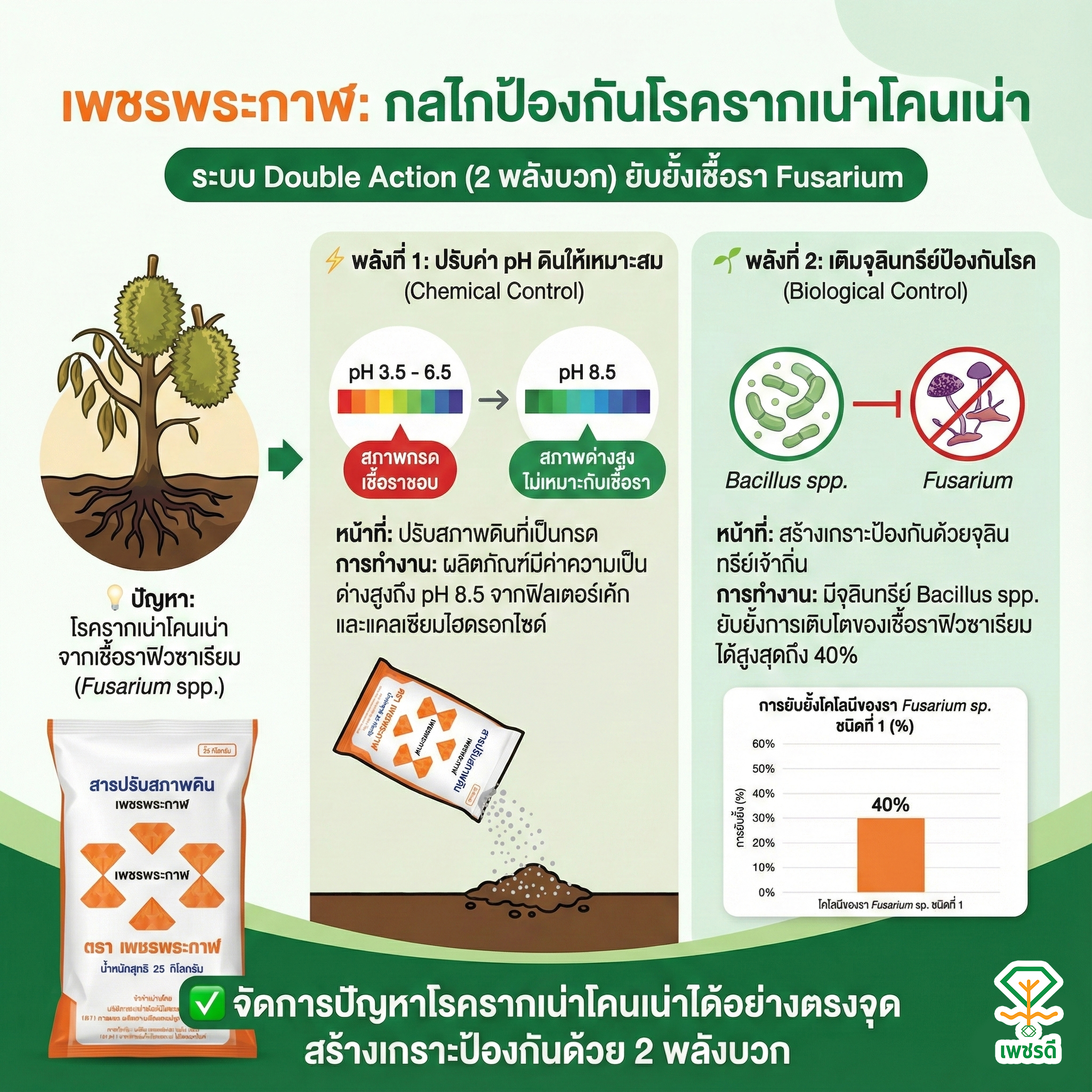 เพชรพระกาฬ กลไกลป้องกันโรครากเน่าโคนเน่า