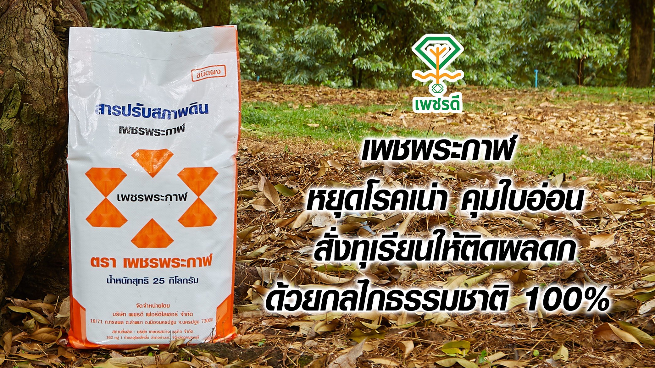 ปกเพชรพระกาฬ POST